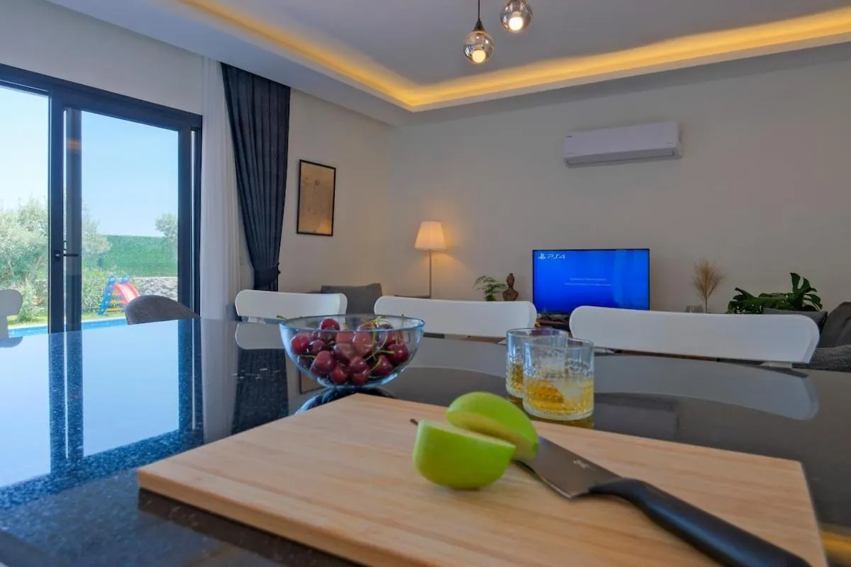 Villa Aloha Gocek Indoor Pool And Sauna Fethiye