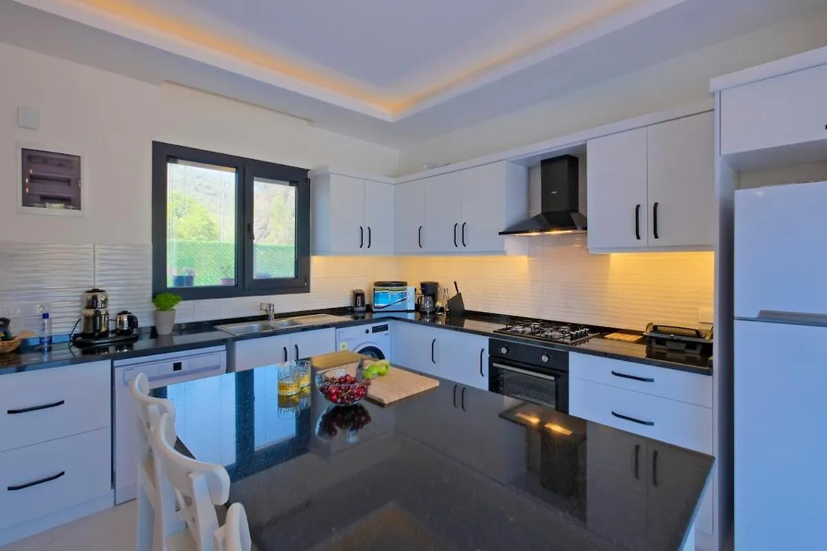 Villa Aloha Gocek Indoor Pool And Sauna Fethiye